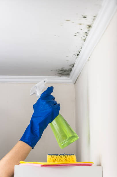 Professional Mold Remediation in Topeka, KS